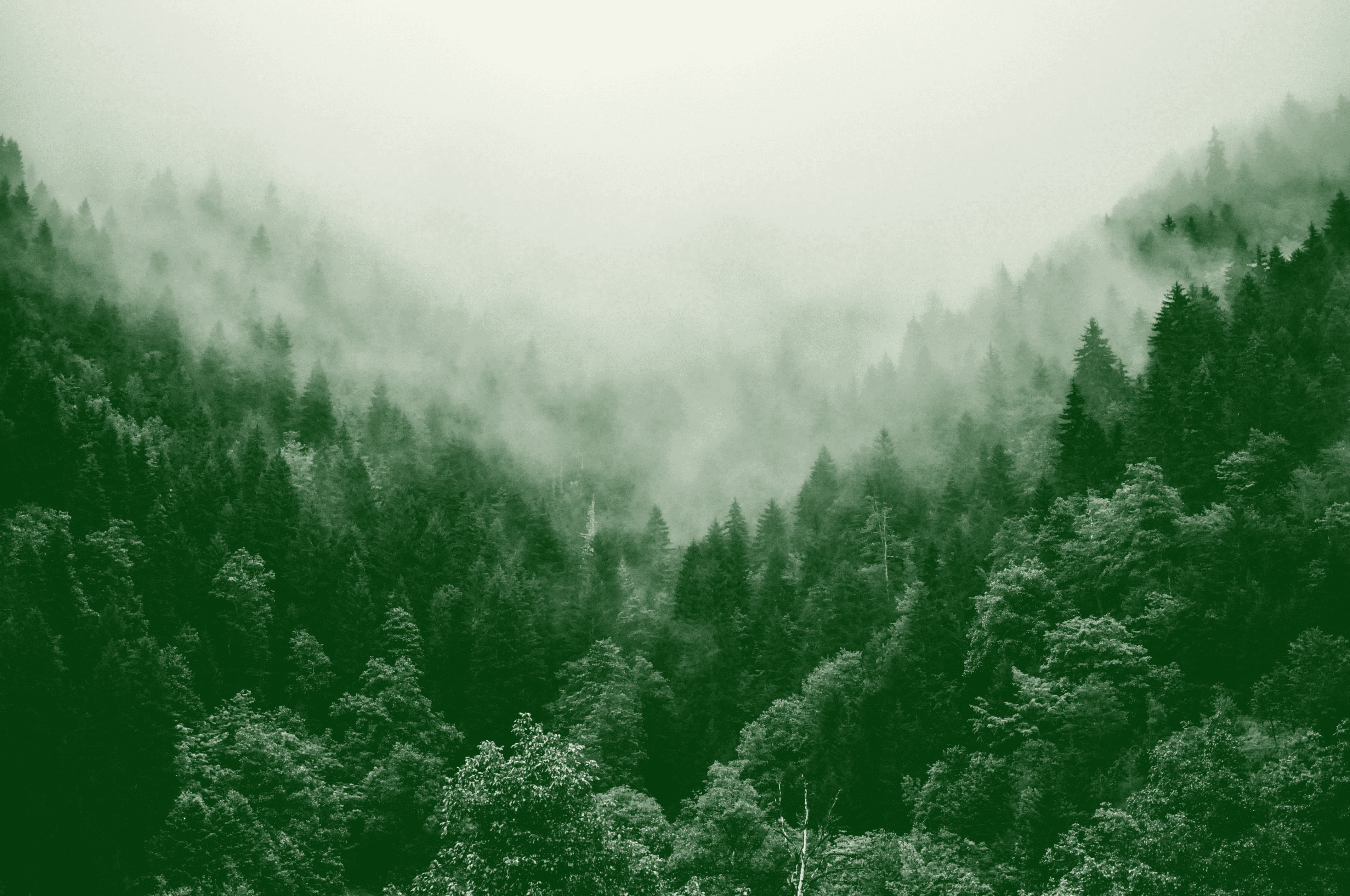 Vallée dans la brume, visuel d’une correction à apporter à un mémoire ou une thèse